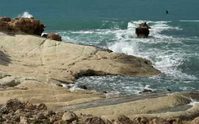 Marathon [109] Jeep Safari - Narodowy Park Akamas z Ayia Napa