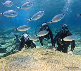 Pierwsze nurkowanie na Cyprze po polsku